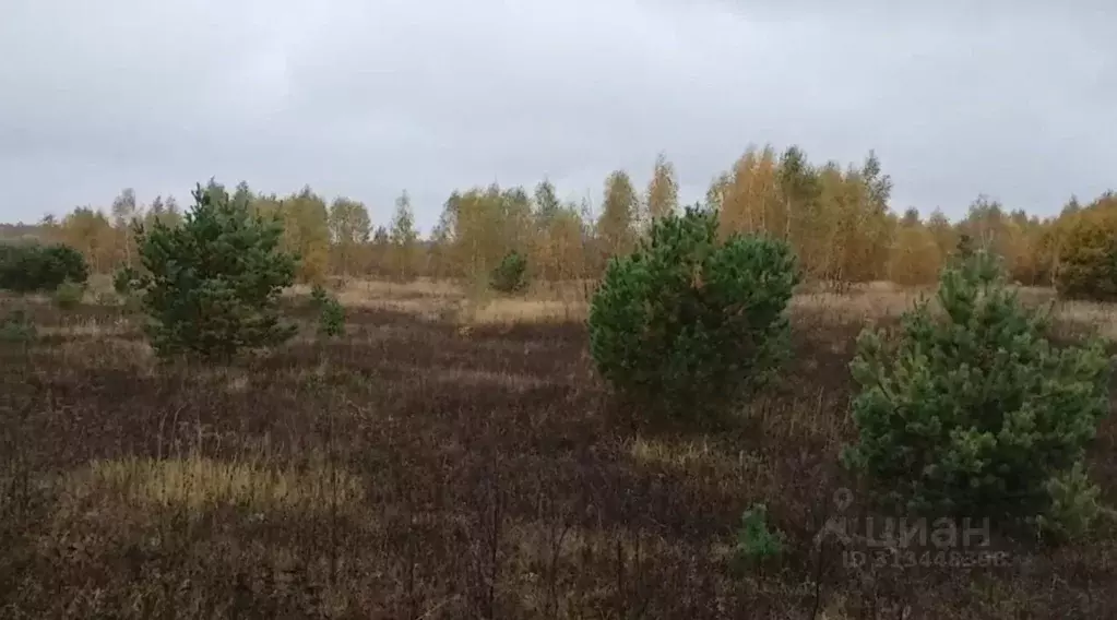 Участок в Московская область, Коломна городской округ, д. Свиридоново  ... - Фото 0