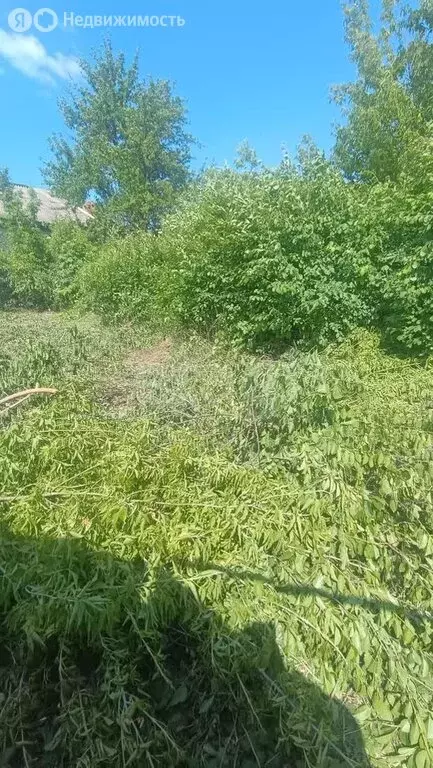 Участок в Балашов, Цветочная улица (10 м) - Фото 1
