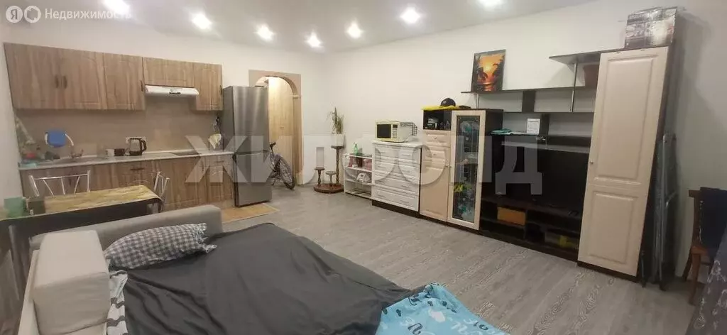 Квартира-студия: Новосибирск, Плющихинская улица, 1 (32.5 м) - Фото 2