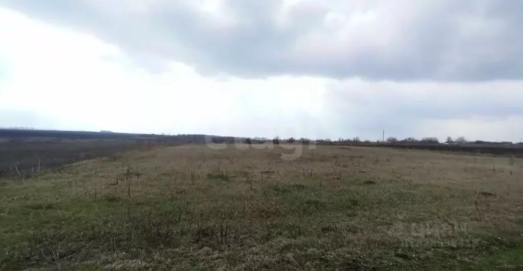 Участок в Белгородская область, Губкинский городской округ, с. Панки  ... - Фото 2