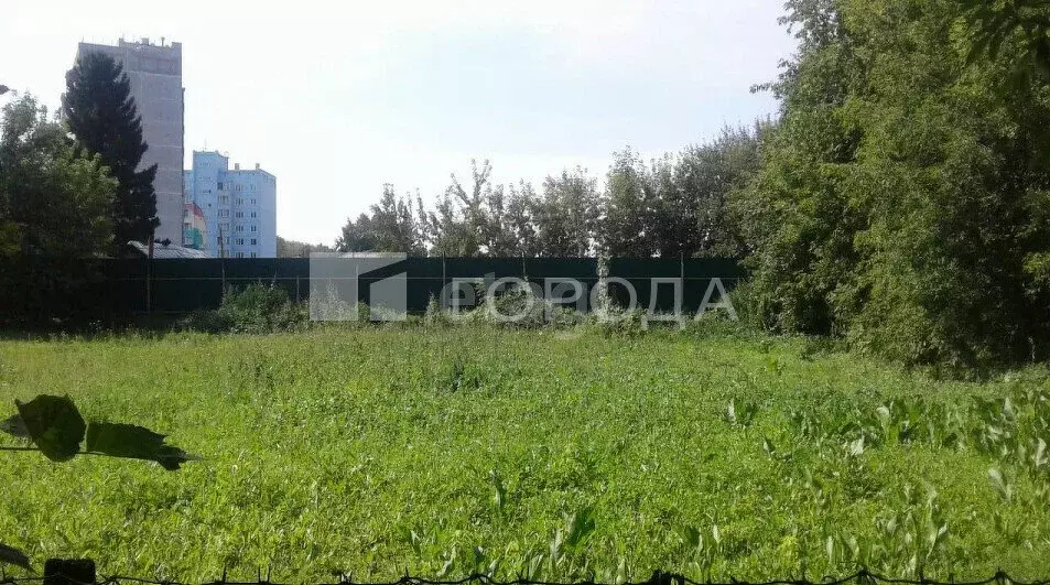 Участок в Новосибирск, Аргунский переулок, 2 (16.3 м) - Фото 1