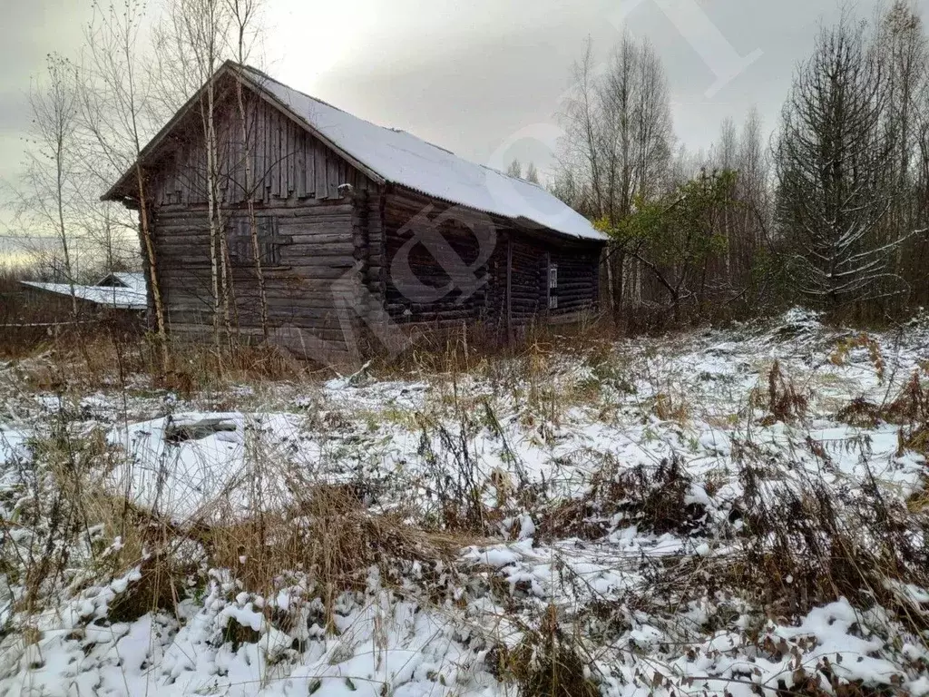 Участок в Костромская область, Макарьевский район, Николо-Макаровское ... - Фото 0