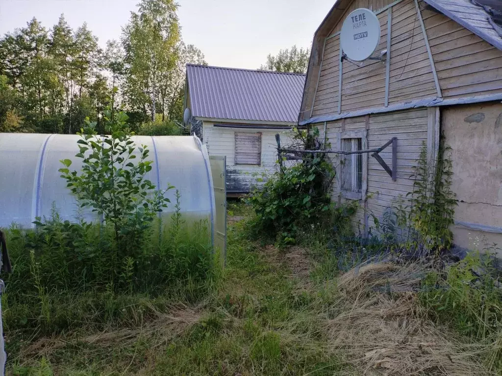 Снт ягодное богородский. Деревня Ягодное Нижегородская область.