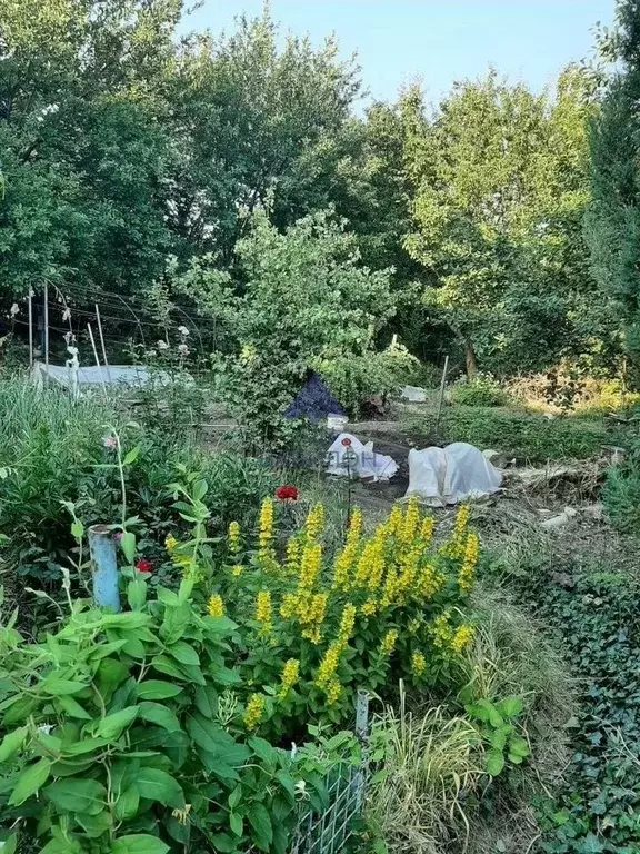 Дом в Ростовская область, Волгодонск В-Б кв-л,  (20 м) - Фото 2