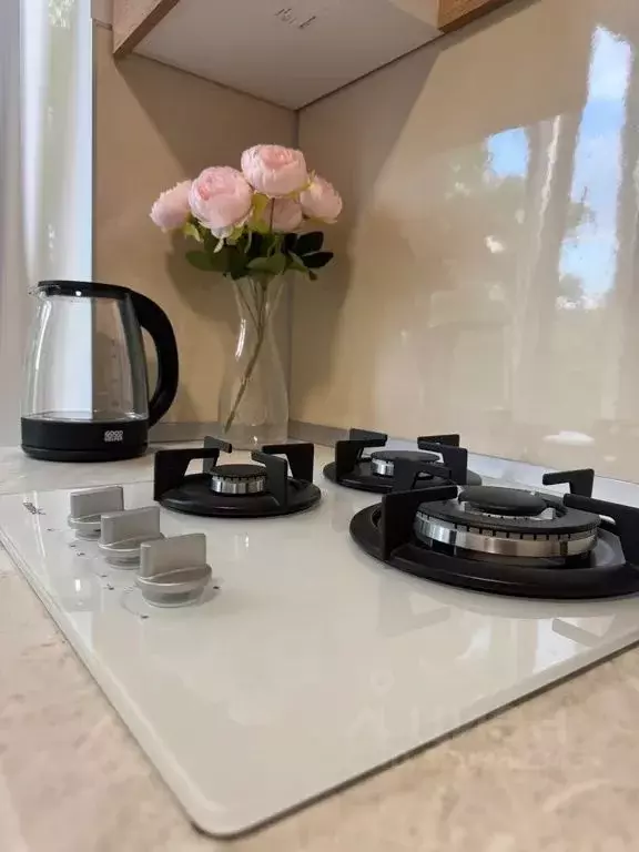 2-к кв. Ставропольский край, Кисловодск проезд Цандера, 11 (46.0 м) - Фото 2