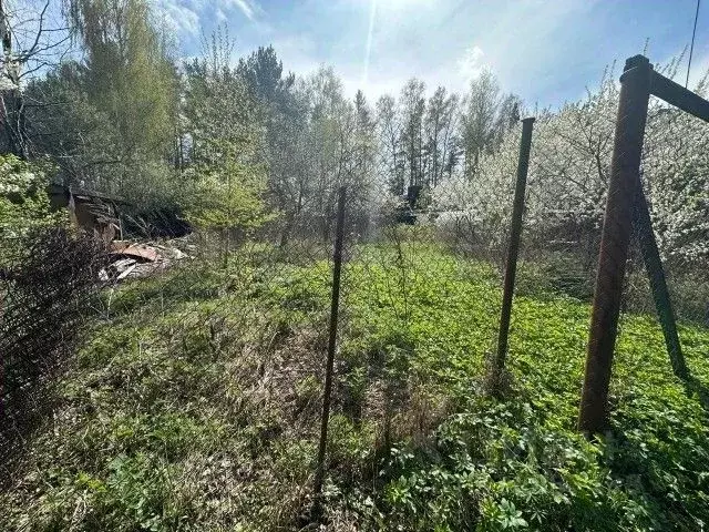 Участок в Московская область, Богородский городской округ, Сосновый ... - Фото 1