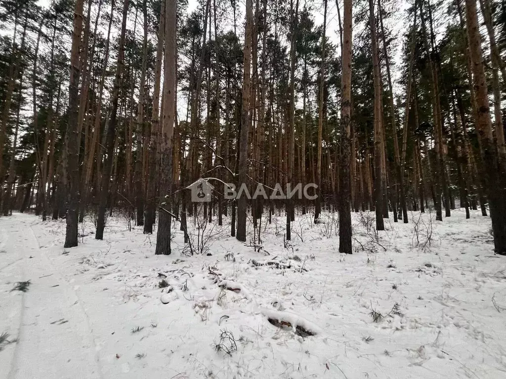 Участок в Пензенская область, Пенза проезд Грибоедова (20.0 сот.) - Фото 2