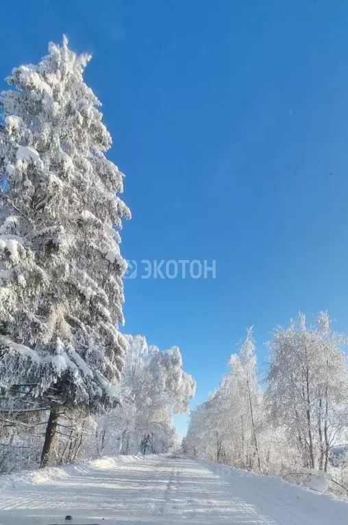 Участок в Ленинградская область, Кировский район, Синявинское ... - Фото 2