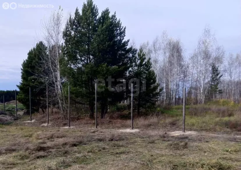 Участок в Тюменский район, деревня Криводанова (50 м) - Фото 1