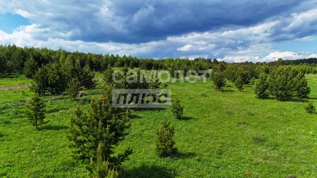Участок в Челябинская область, Нязепетровск ул. Тургенева (10.0 сот.) - Фото 1