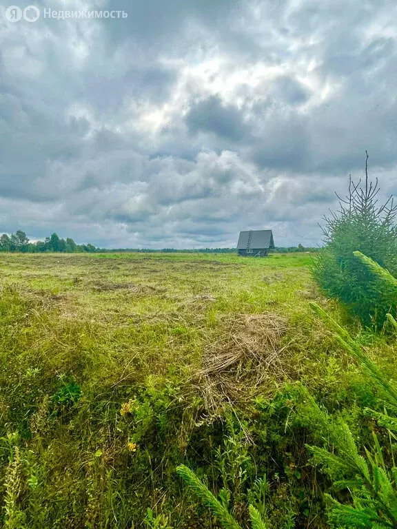 Участок в Вологодский муниципальный округ, посёлок Уткино (25 м) - Фото 2