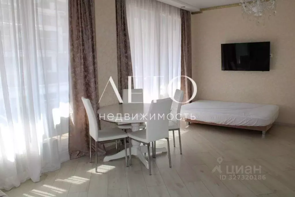 Студия Краснодарский край, Сочи городской округ, Дагомыс пгт ул. ... - Фото 2