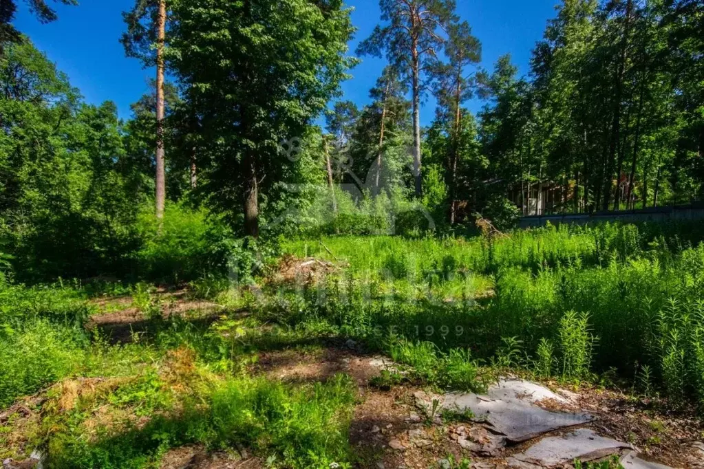 Дом в Московская область, Одинцовский городской округ, д. Жуковка, ... - Фото 1