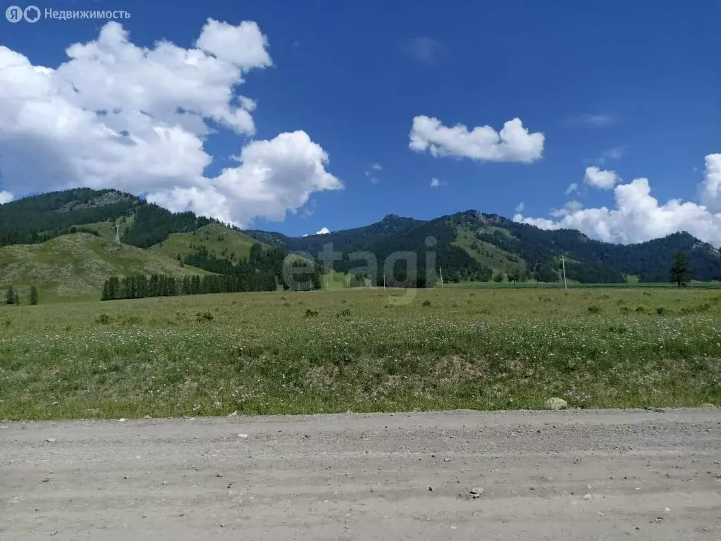 Участок в Шебалинский район, село Барагаш (3110 м) - Фото 1