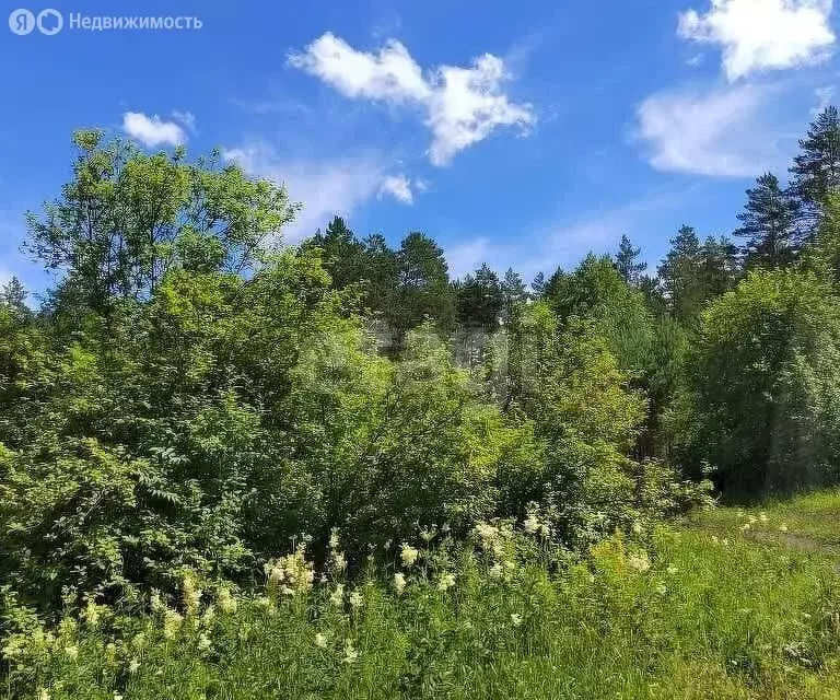 Участок в Чемальский район, Чемальский тракт (4900 м) - Фото 0