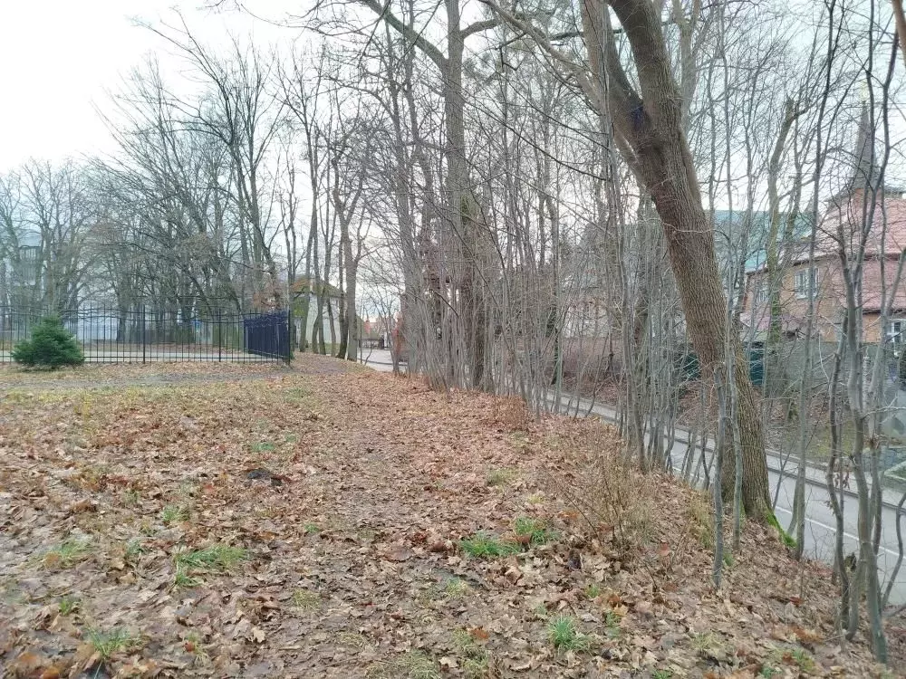 Участок в Калининградская область, Калининград ул. Тенистая Аллея (6.0 ... - Фото 1