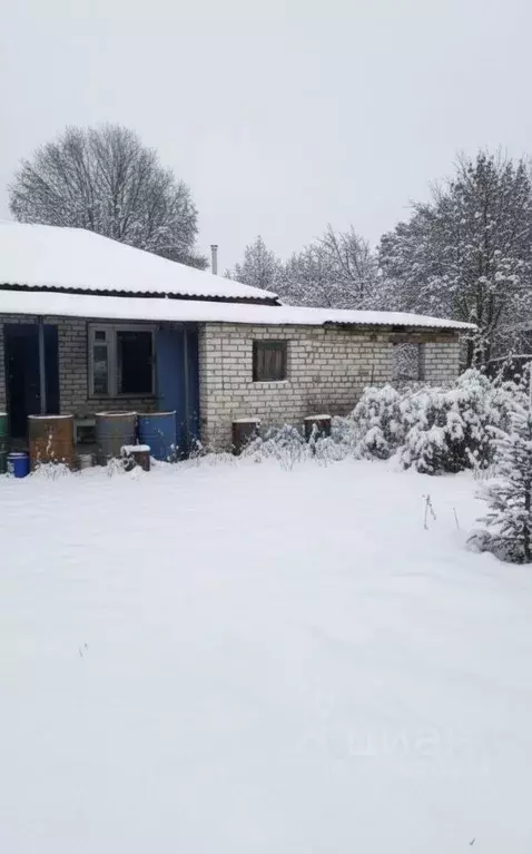 Дом в Нижегородская область, Павловский район, д. Жестелево 65 (100 м) - Фото 1