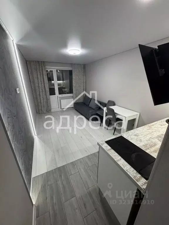 Студия Самарская область, Самара просп. Кирова, 71 (20.0 м) - Фото 1