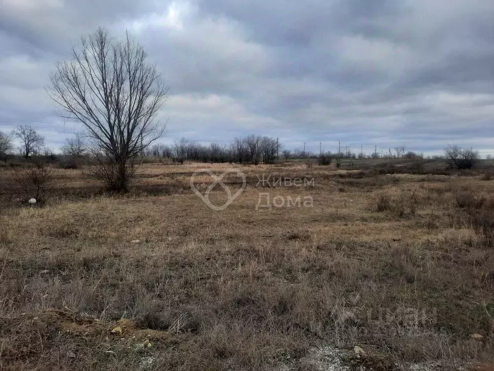 Участок в Волгоградская область, Городищенский район, Россошенское ... - Фото 1
