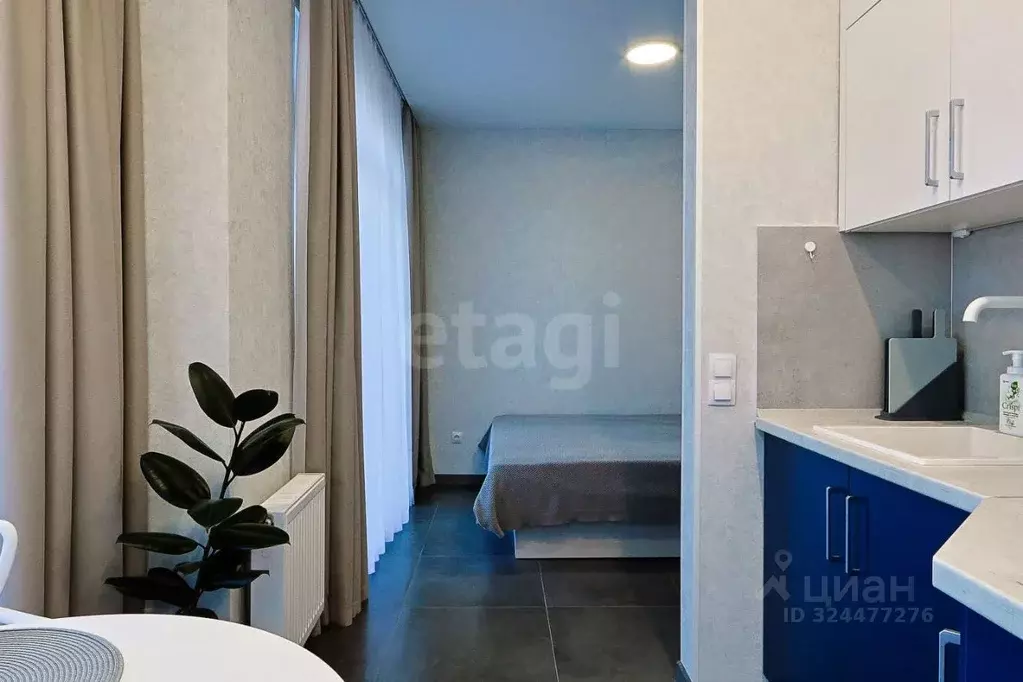 Студия Калининградская область, Зеленоградск ул. Гагарина, 57 (21.5 м) - Фото 1