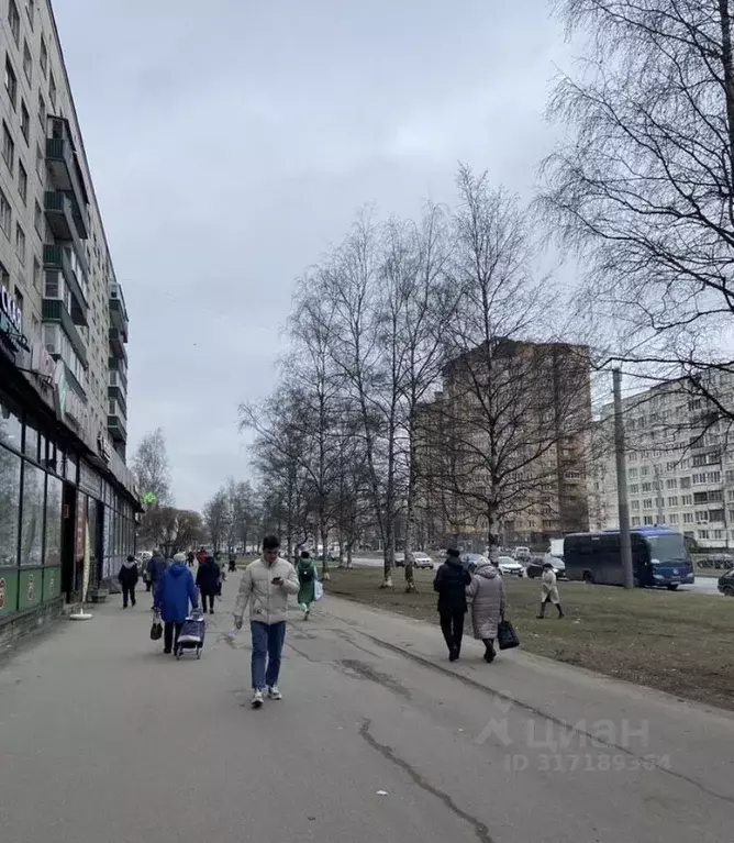 Торговая площадь в Санкт-Петербург просп. Художников, 24К1 (75 м) - Фото 0