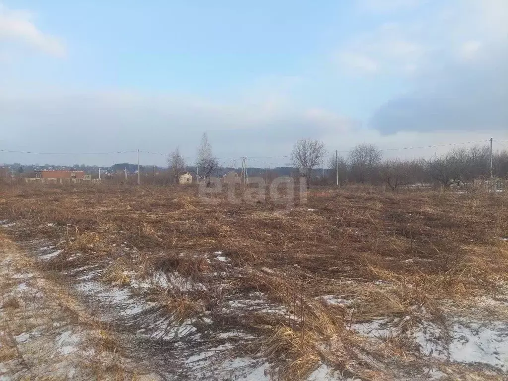 Участок в Брянская область, Брянский район, Снежское с/пос, пос. ... - Фото 2