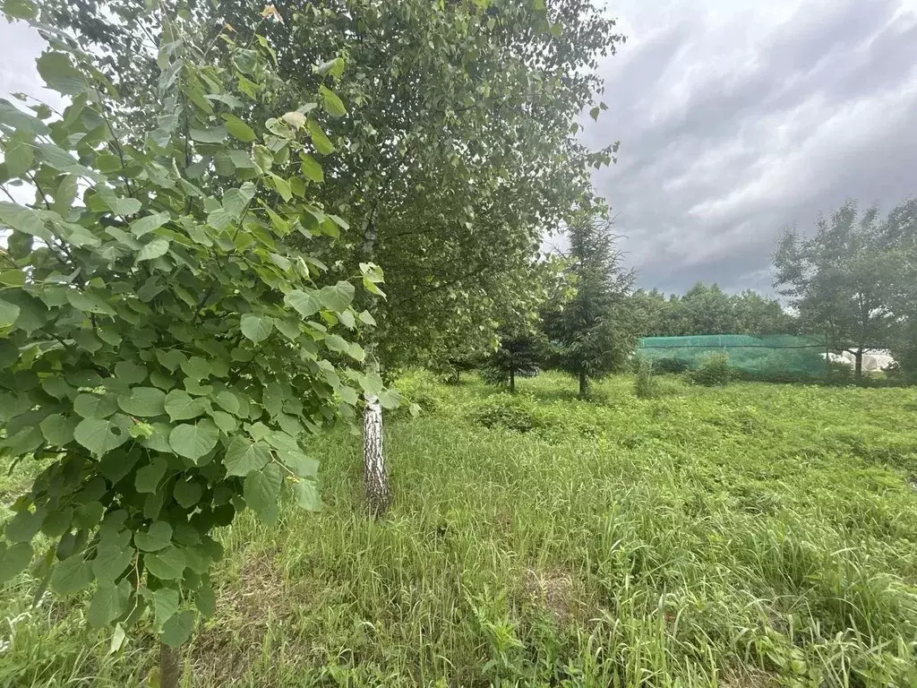 Участок в Московская область, Ступино городской округ, с. Бортниково  ... - Фото 2
