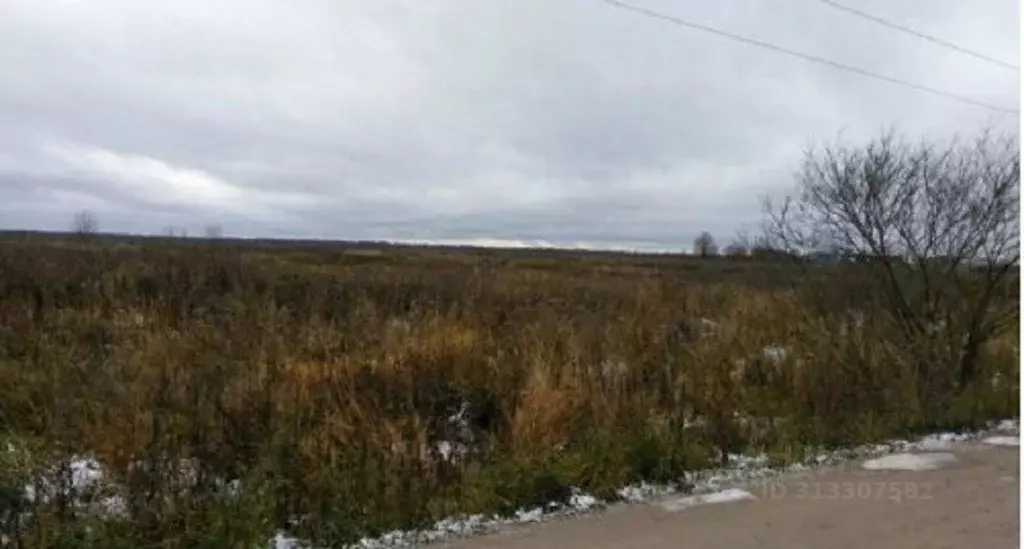 Участок в Ленинградская область, Кировское городское поселение, пос. ... - Фото 0