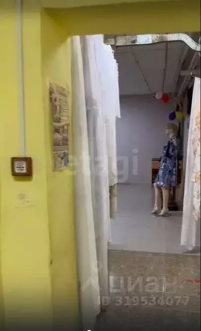 Помещение свободного назначения в Свердловская область, Кушвинский ... - Фото 1