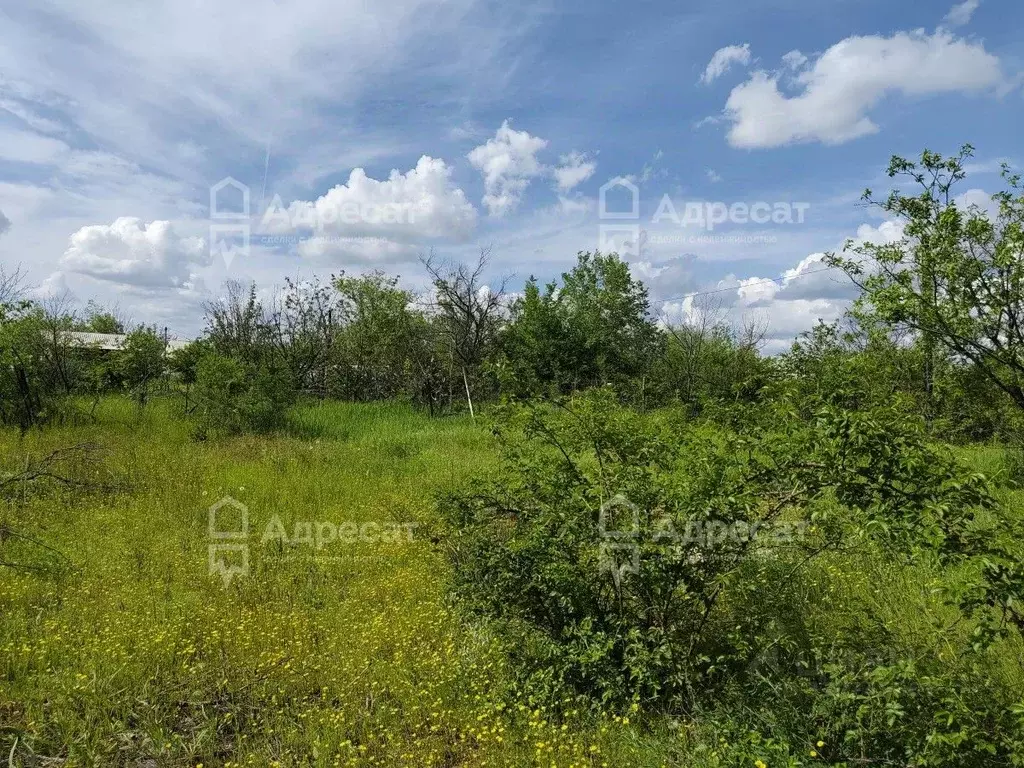 Участок в Волгоградская область, Городищенский район, Орловское с/пос, ... - Фото 2