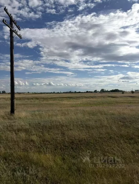 Участок в Волгоградская область, Городищенский район, Паньшинское ... - Фото 2