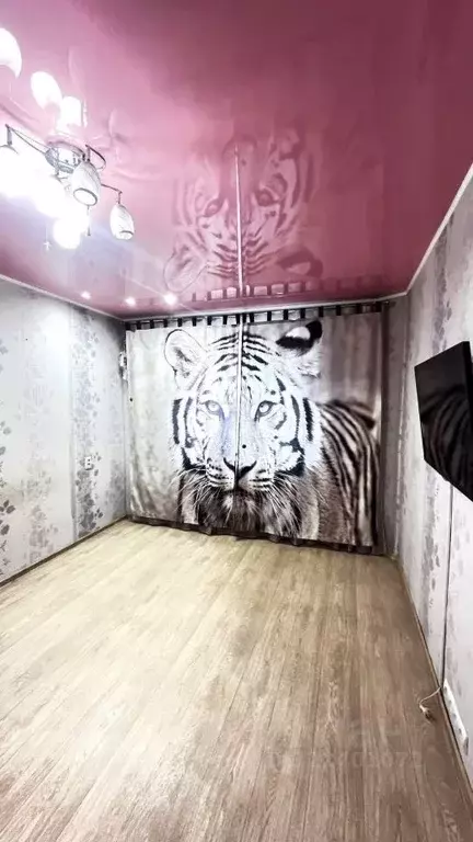 1-к кв. Камчатский край, Петропавловск-Камчатский ул. Виталия Кручины, ... - Фото 1