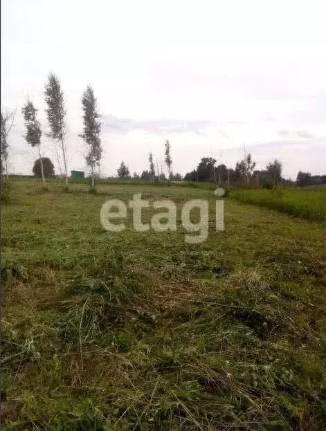 Участок в Сетка, Зелёная улица (20 м) - Фото 1