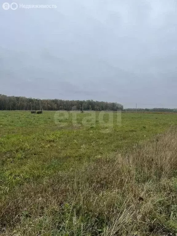 Участок в Медвенка, коттеджный посёлок Ивановка, 4-й Богородицкий ... - Фото 2