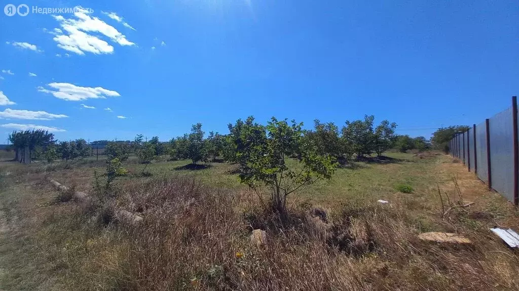 Участок в Краснодарский край, муниципальный округ Анапа, хутор ... - Фото 0