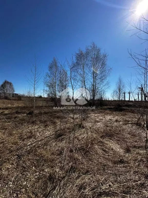 Участок в Новосибирская область, Новосибирск Садоводческого ... - Фото 0