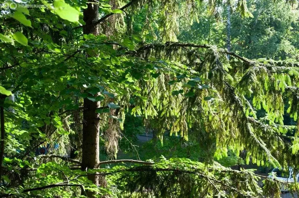 3-комнатная квартира: Ступино, улица Куйбышева, 38 (55.2 м) - Фото 1