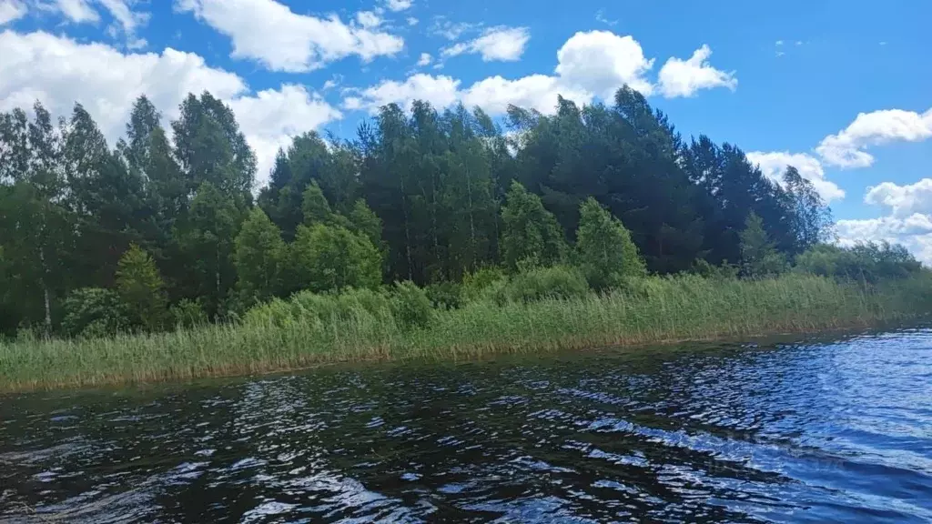 Участок в Тверская область, Осташковский городской округ, д. Лежнево ... - Фото 0