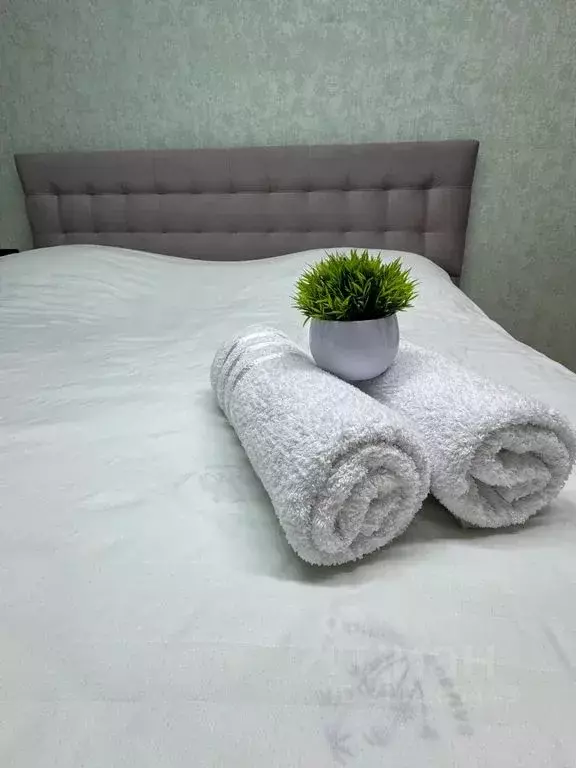 1-к кв. Пензенская область, Пенза ул. Фурманова, 19 (36.0 м) - Фото 1