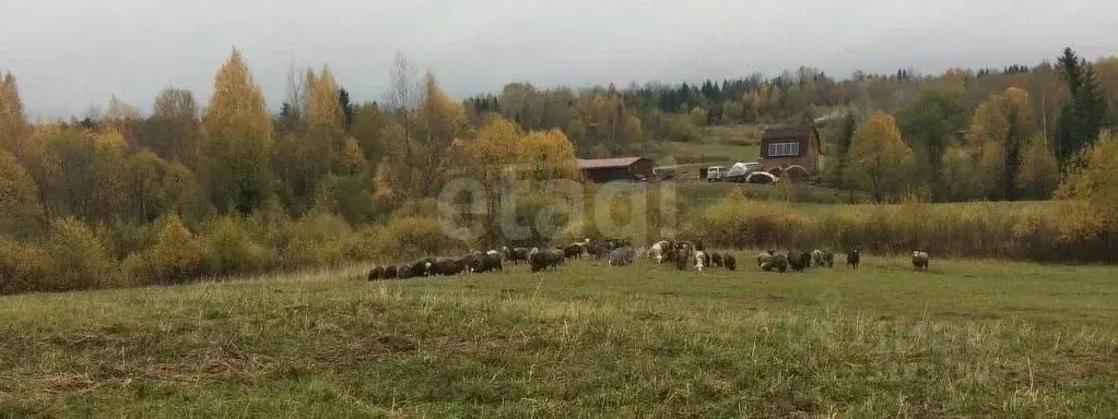 Участок в Псковская область, Струго-Красненский район, д. Замошье ... - Фото 1