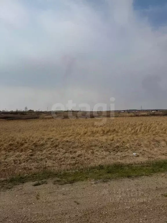 Участок в Амурская область, Благовещенский район, с. Новотроицкое  ... - Фото 1