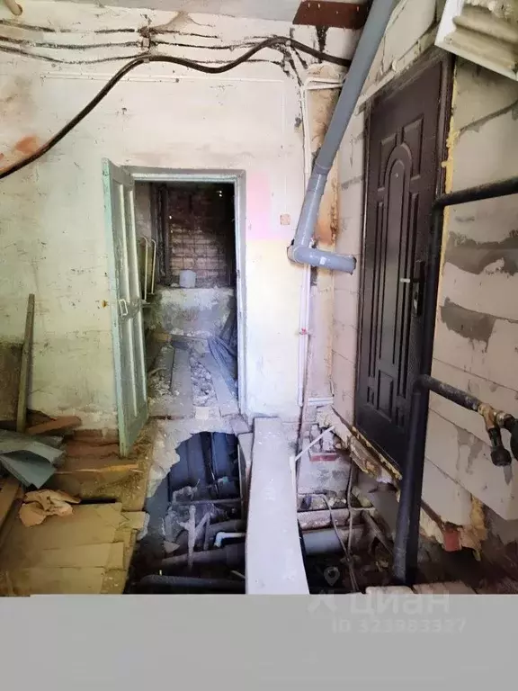 Помещение свободного назначения в Кемеровская область, Прокопьевск ул. ... - Фото 1