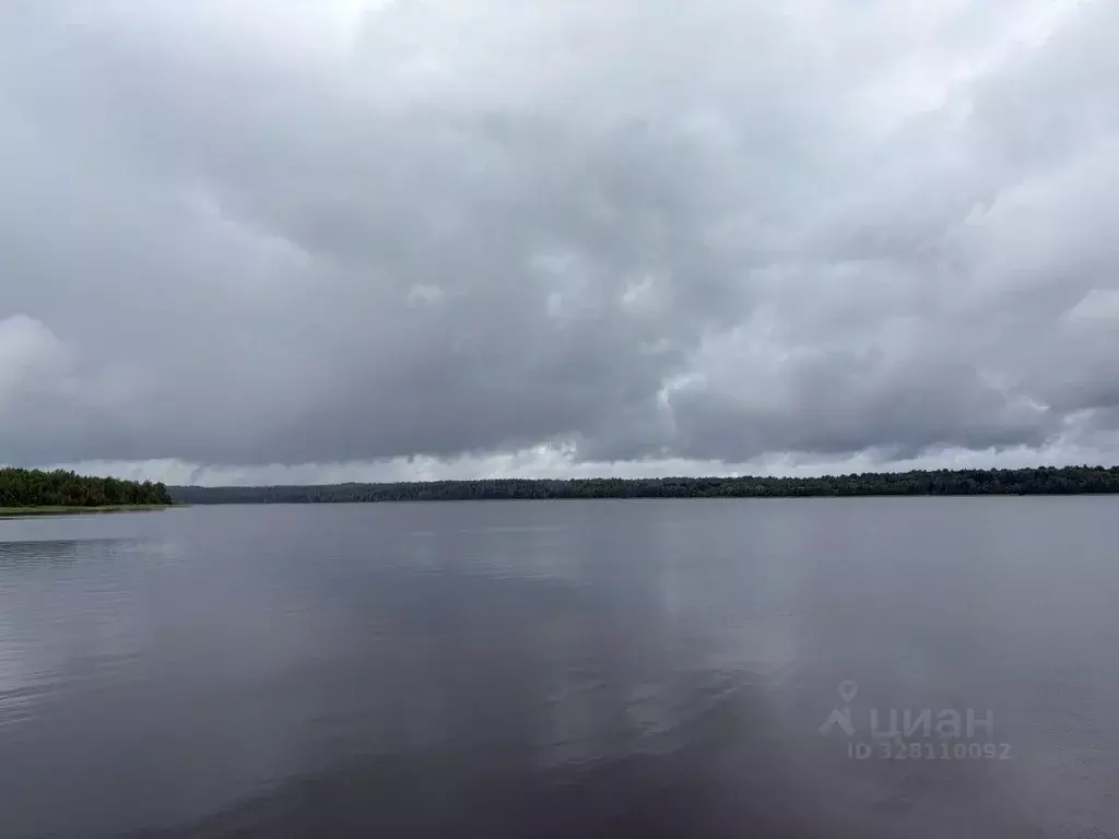 Участок в Ленинградская область, Приозерский район, Громовское с/пос, ... - Фото 1