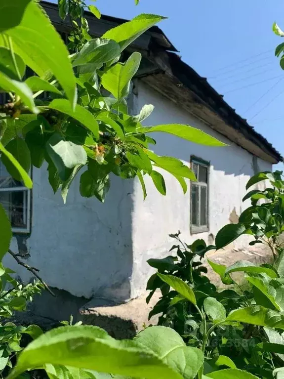 Дом в Курганская область, Курган Глинки мкр, ул. Новая (42 м) - Фото 2