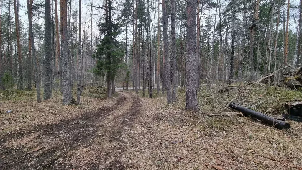 Участок 8,4 сот. (ИЖС) - Фото 0