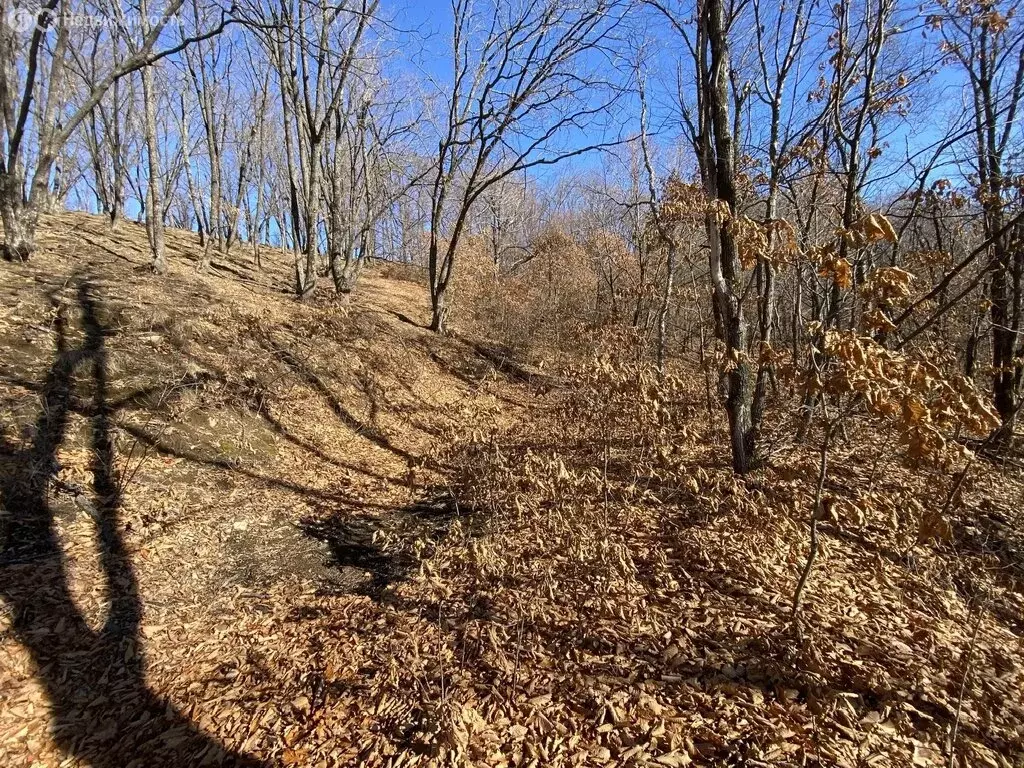 Участок в Артём, 3-я Ключевая улица (8 м) - Фото 1