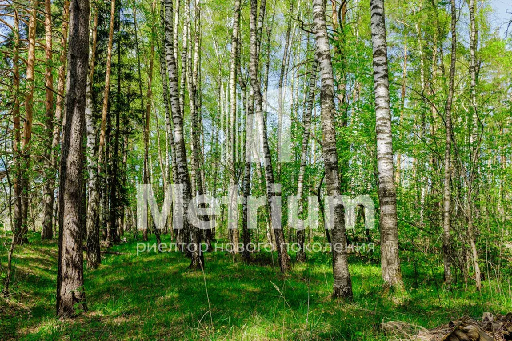 Продается участок в КП Лесные зори - Фото 1