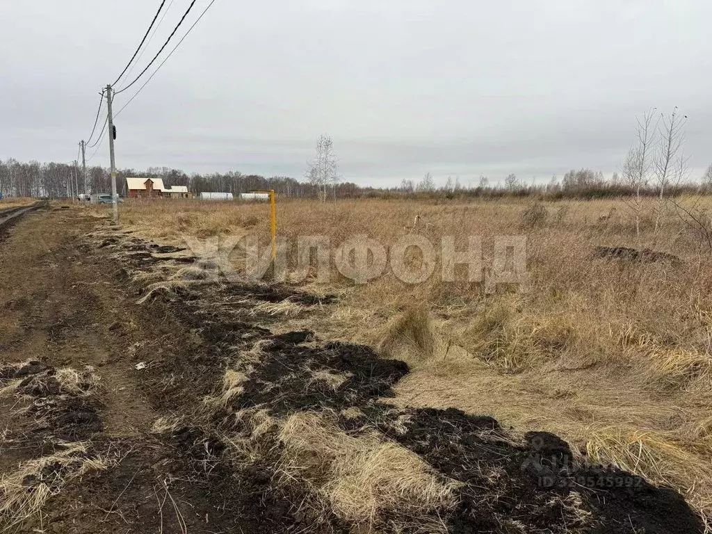Участок в Новосибирская область, Новосибирский район, Верх-Тулинский ... - Фото 1