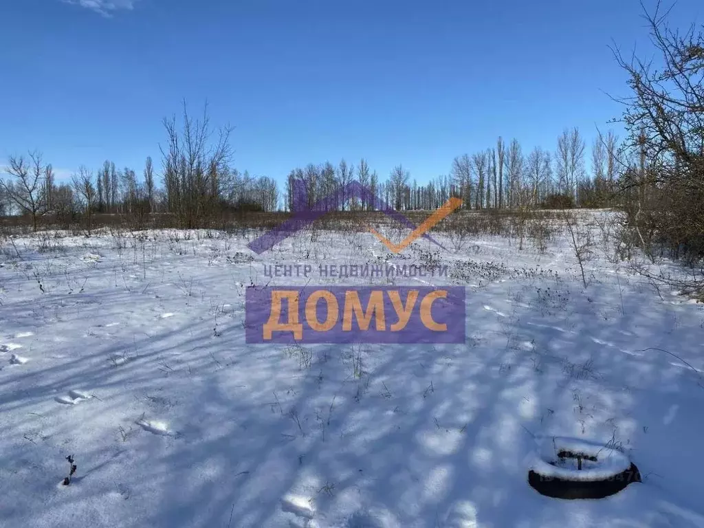 Участок в Белгородская область, Белгородский район, Ериковское с/пос, ... - Фото 2