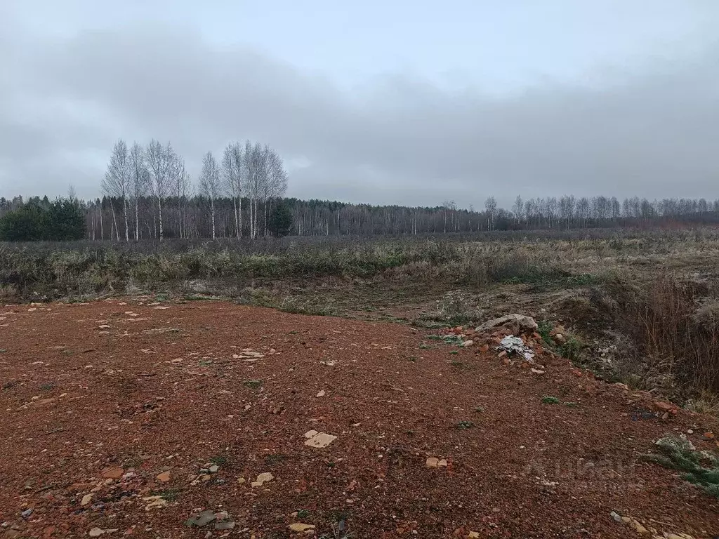 Участок в Новгородская область, Новгородский район, Савинское с/пос, ... - Фото 1